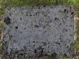 image of grave number 784811